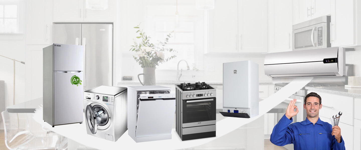 Aladağ Gaggenau Servisi